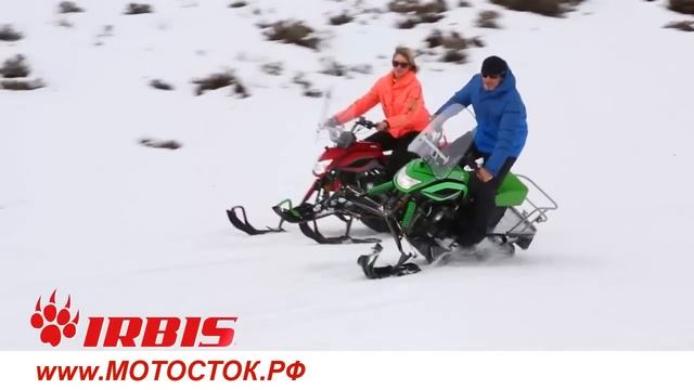 снегоход Динго 150 (Dingo T150) обзор снегохода DINGO T150