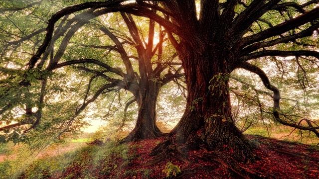 Музыка для успокоения души.