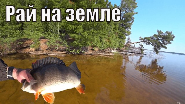 Забросили в тайгу ХМАО - Югры. Одного. Часть 3. Рай на земле.