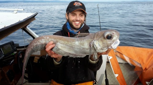 Рыба Макрурус. Жарим на сковороде. Канал Винигрет.