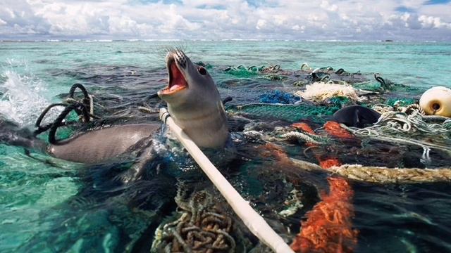 Планета земля - наш дом!!!