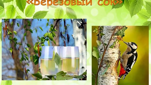 Лесные истории Эдуарда Шима