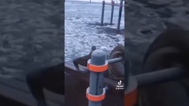 ауф
ауф