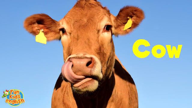 I Like Animals - Animals Song for Kids - Learn 12 Animal Names - ESL for Kids - Fun Kids English