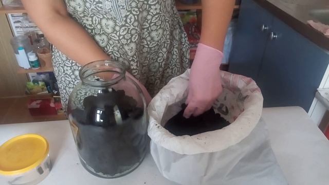 Рождение пиявок в домашних условиях 3. Закладка грунта.