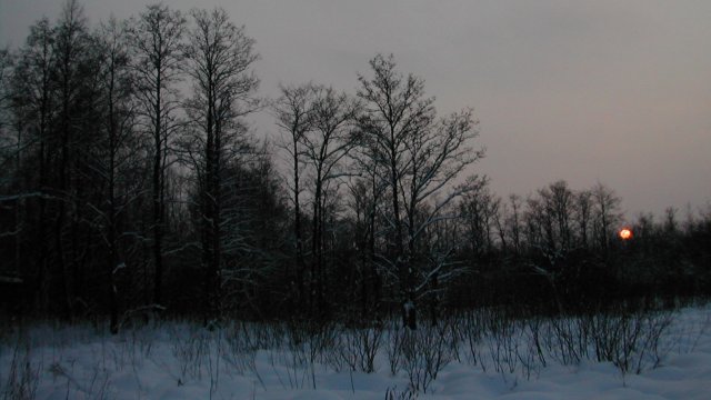 Иеромонах Роман. «Теплится лампада, свет свечи весёлый...»