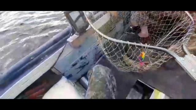 Троллинг.Рыбалка на РЫБИНСКОМ ВОДОХРАНИЛИЩЕ.#77