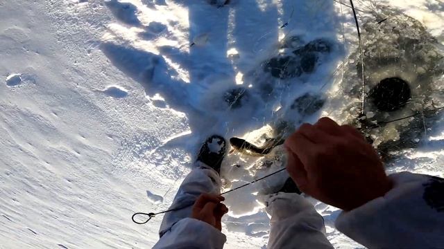 рыбалка на подледную снасть хапугу