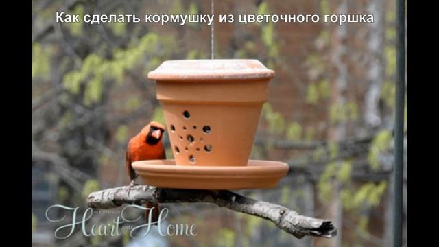 Оригинальные кормушки для птиц своими руками: 7 идей кормушек