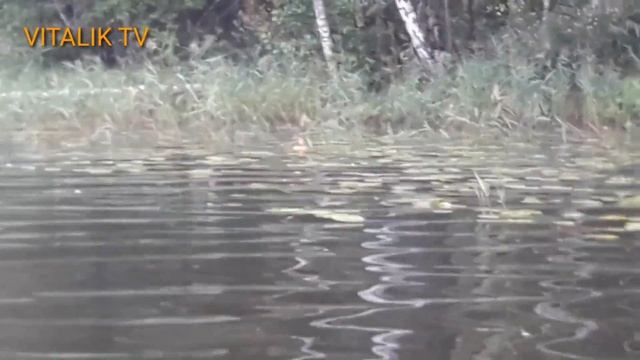 Ловля рыбы на кружки в Беларуси
