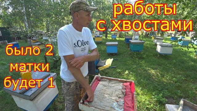 РАБОТЫ с ХВОСТАМИ!!! ОБЪЕДИНЕНИЕ и РАСШИРЕНИЕ! Оставляем одну матку.