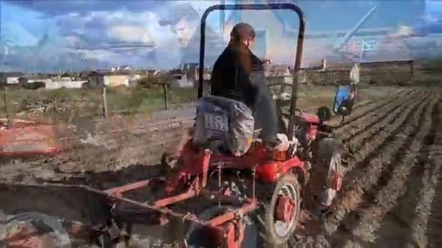 МТЗ 152 (16" колеса) посадка картофеля