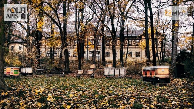#Кашковский В.Г. Когда кормить пчел в зиму ?