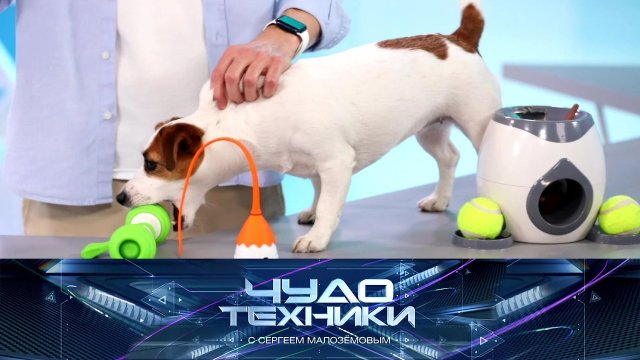 Гаджеты для скучающих питомцев, безопасная доза загара и тест нашейного вентилятора | «Чудо техники»