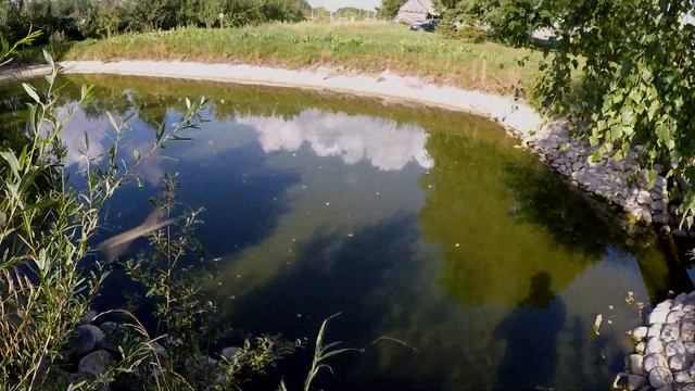 Пруд на участке.Пруд на даче.Водоём на участке. Пруд без плёнки