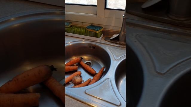 Не люблю готовить, а готовлю. Зачем?
