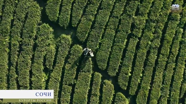 10 Лучших КУРОРТОВ России от Кисловодского Курортного Управления