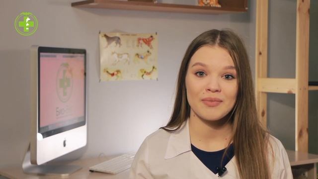 Почему Кошка Ест Собачий Корм / Опасен Ли Собачий Корм Для Кошки / Ветклиника Био-Вет