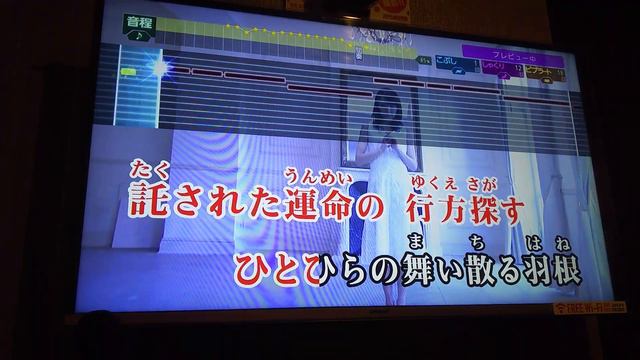 ぴちぴちピッチピュア 翼を抱いて(皆川純子)歌ってみた 96点