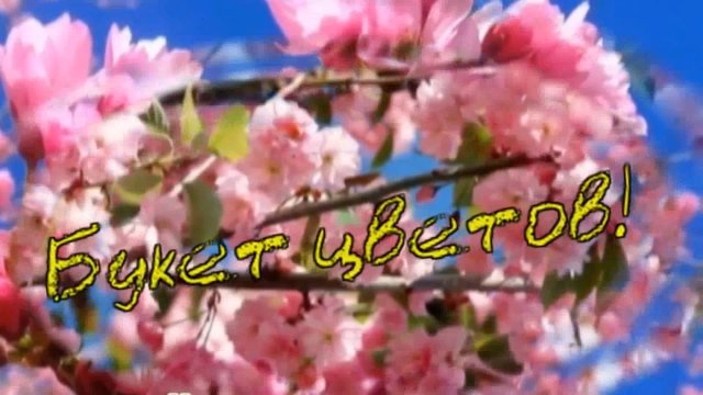 гр.Лукьяновка  Вячеслав Кукоба - Букет цветов!