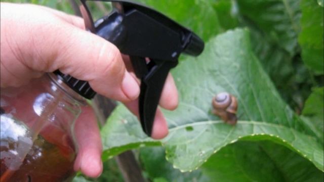 9 СПОСОБОВ ИСПОЛЬЗОВАНИЯ КОФЕЙНОЙ ГУЩИ