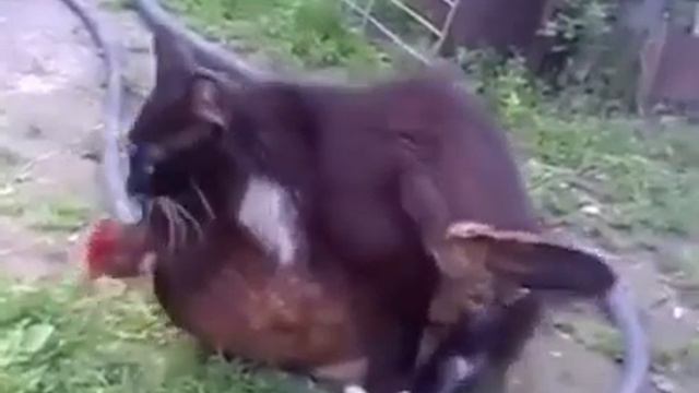 Дар убеждения. 
вредные убеждения