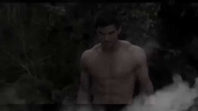 волк.mp4