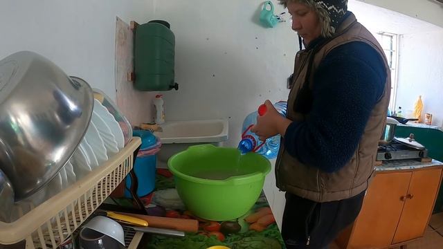 ЖИВУ ОДНА В ДЕРЕВНЕ /ДЕРЕВЕНСКИЕ БУДНИ/ОДИНОЧЕСТВО В ДЕРЕВНЕ /ВЛОГ