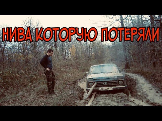 Поиски пропавшей в лесу нивы и ее эвакуация.