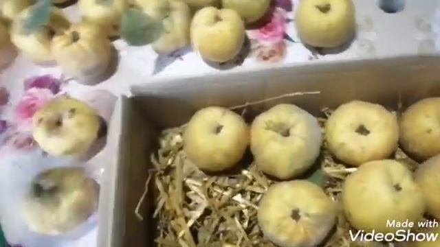 ХРАНЕНИЕ АЙВУ НА ЗИМУ, Storing quince for the winter???