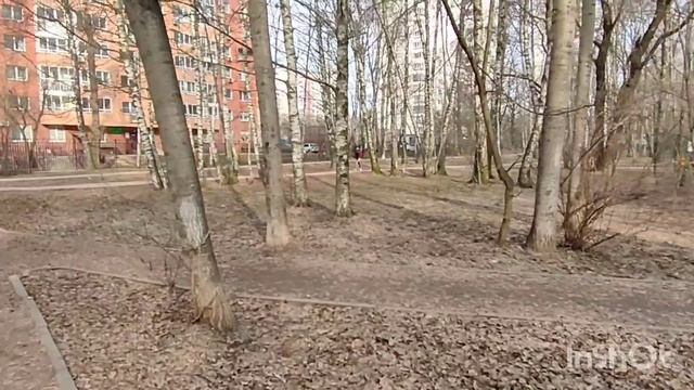 Прогулка в парке...