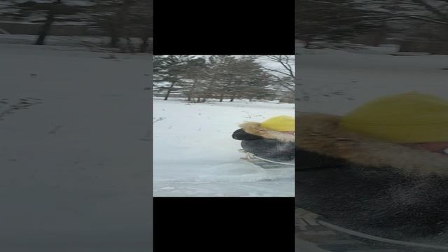 зимние забавы