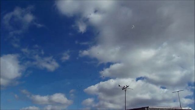 Голуби Бакинцы