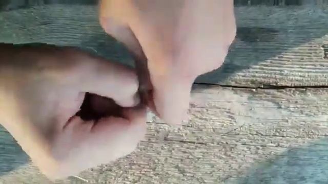 Как сделать закидушку на сома?