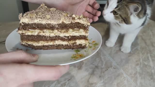 Быстрый и вкусный Торт из покупных бисквитных коржей с вареной сгущенкой.mp4