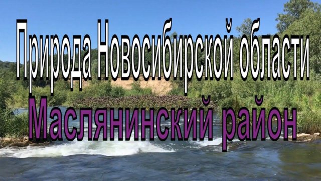 Новосибирская область красивые места. Природа Новосибирской области. Маслянинский район.