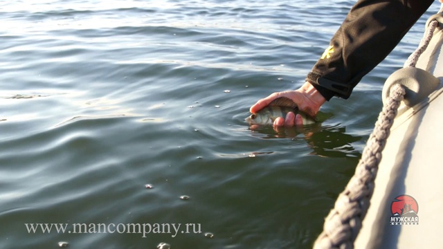 Ловля с отводным поводком на грузе балерина