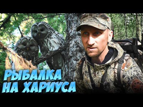 ПОХОД С НОЧЕВКОЙ В ПАЛАТКЕ НА ТАЁЖНУЮ РЕЧКУ ЗА ХАРИУСОМ.