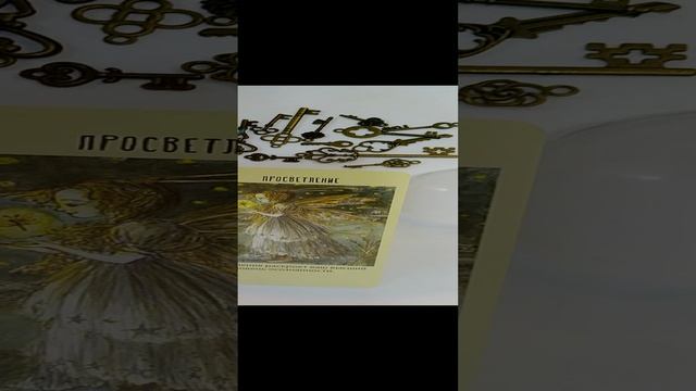 export_1082656532007513001.mp4