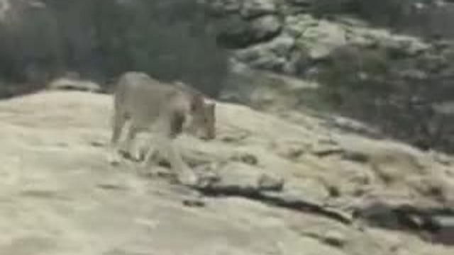 потрясающе