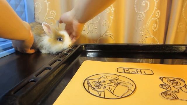 КРОЛИК БАФФИ И ЗНАЧКИ! КАК СДЕЛАТЬ ЗНАЧОК? Делаем своими руками значки на портфель DIY на руском