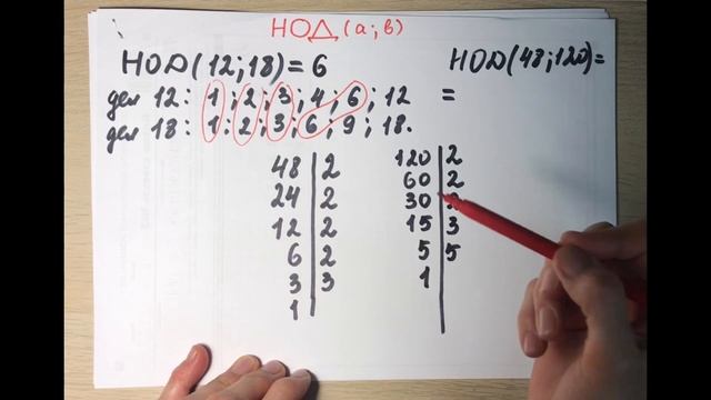 5-6 класс. Разложение числа на простые множители. НОК и НОД