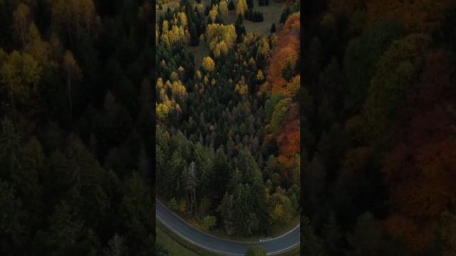 СООБЩЕСТВО СВЕТА. Срочно Меняйтесь.