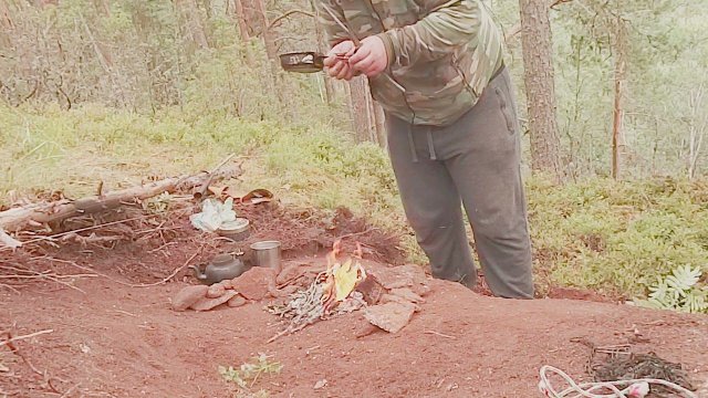 Пожарил лисички... нежданчик