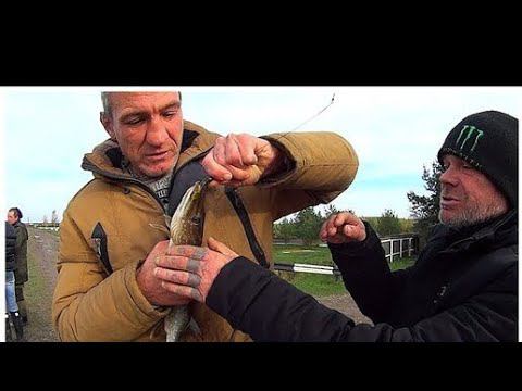 Итоги конкурса / 2 дня отличной рыбалки / Мужик без штанов