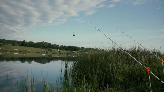 ЛОВЛЯ КАРПА И КАРАСЯ НА ДОНКИ! ЛЕТНЯЯ РЫБАЛКА НА КРАСИВОМ ПРУДУ!