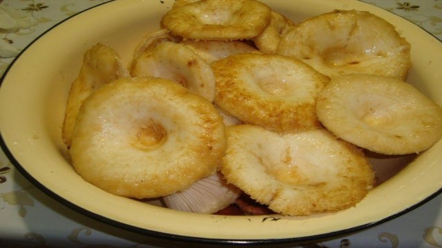ПРОСТОЙ РЕЦЕПТ ЗАСОЛКИ СЫРЫХ ГРУЗДЕЙ . КАК ЗАСОЛИТЬ СЫРЫЕ ГРУЗДИ ХОЛОДНЫМ СПОСОБОМ