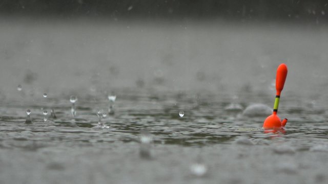 ЖЕСТЬ! ИХ ТУТ МНОГО. РЫБАЛКА С НОЧЁВКОЙ НА ЗАКИДУШКИ, ПОПЛАВОК, СОМА. Рыбалка на поплавочную удочку