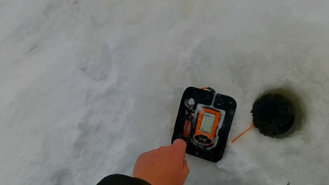 Судак на ратлин и эхолот практик 6 м
