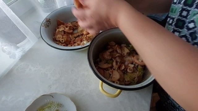 Засолка грибов. Как я солю волнушки.